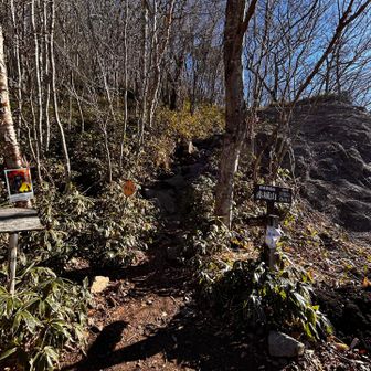 広い無料🅿️が数箇所あり、1番登山口に近い所に
停めてスタート

ここには🚻が無い
手前の🅿️には立派な🚻有り、其方に停める方が多い印象だったよ

人気のお山なのね♪
沢山の登山者が登山口を目指して歩いていたよ
