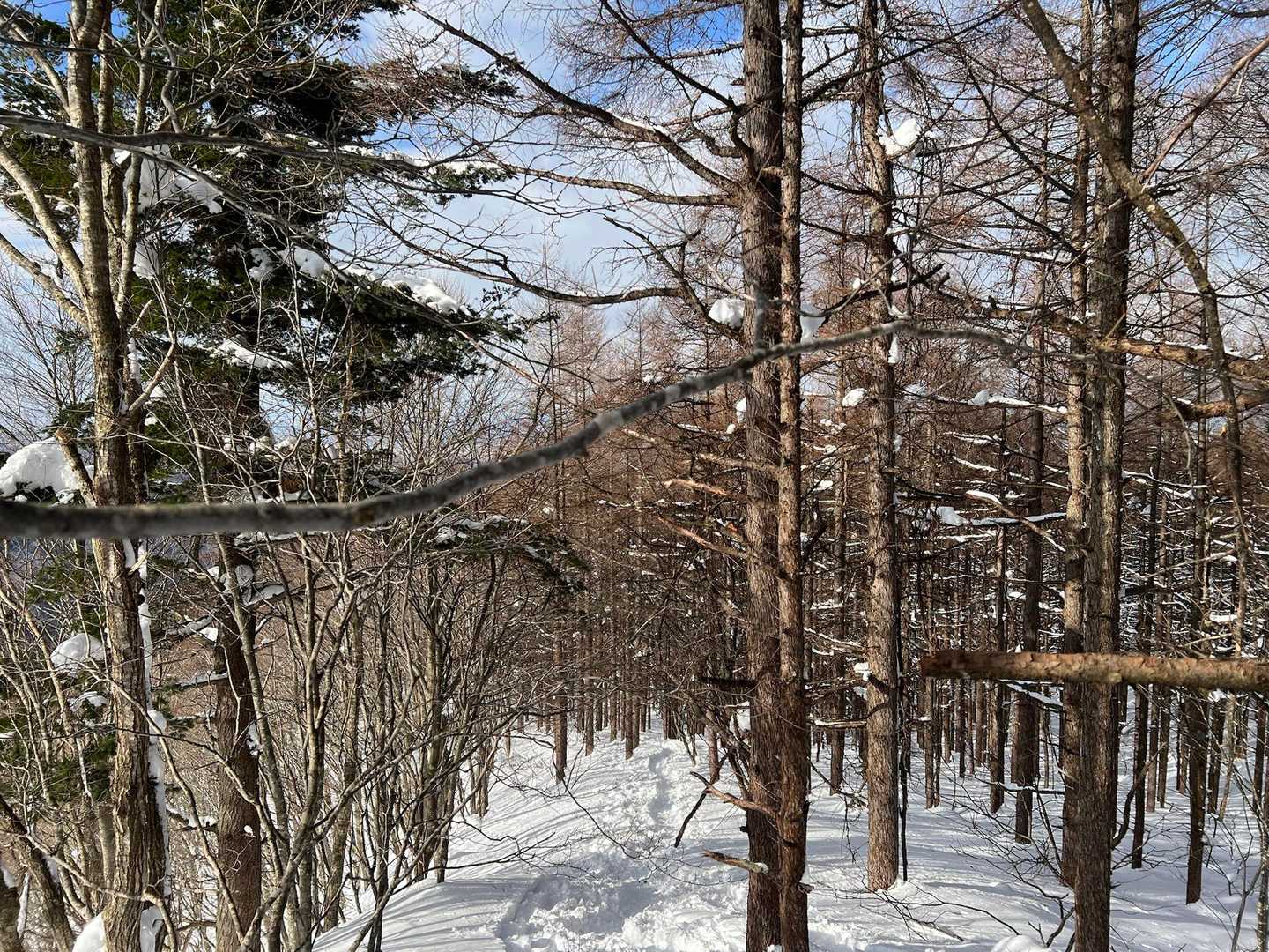 北面白山登山入口-三沢山 往復コースの写真