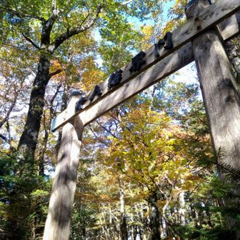 結界門まで戻ってきて
すでに６時間経過
これからの行動時間と体力と考えて…
登るか、戻るか
やっぱり登ります