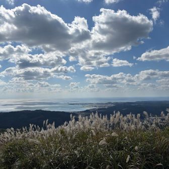 姫ヶ岳からの眺望。
一面のススキもすっかり秋の装いで、季節の移り変わりを感じます。