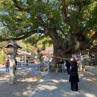 Ooasa shrine ⛩️