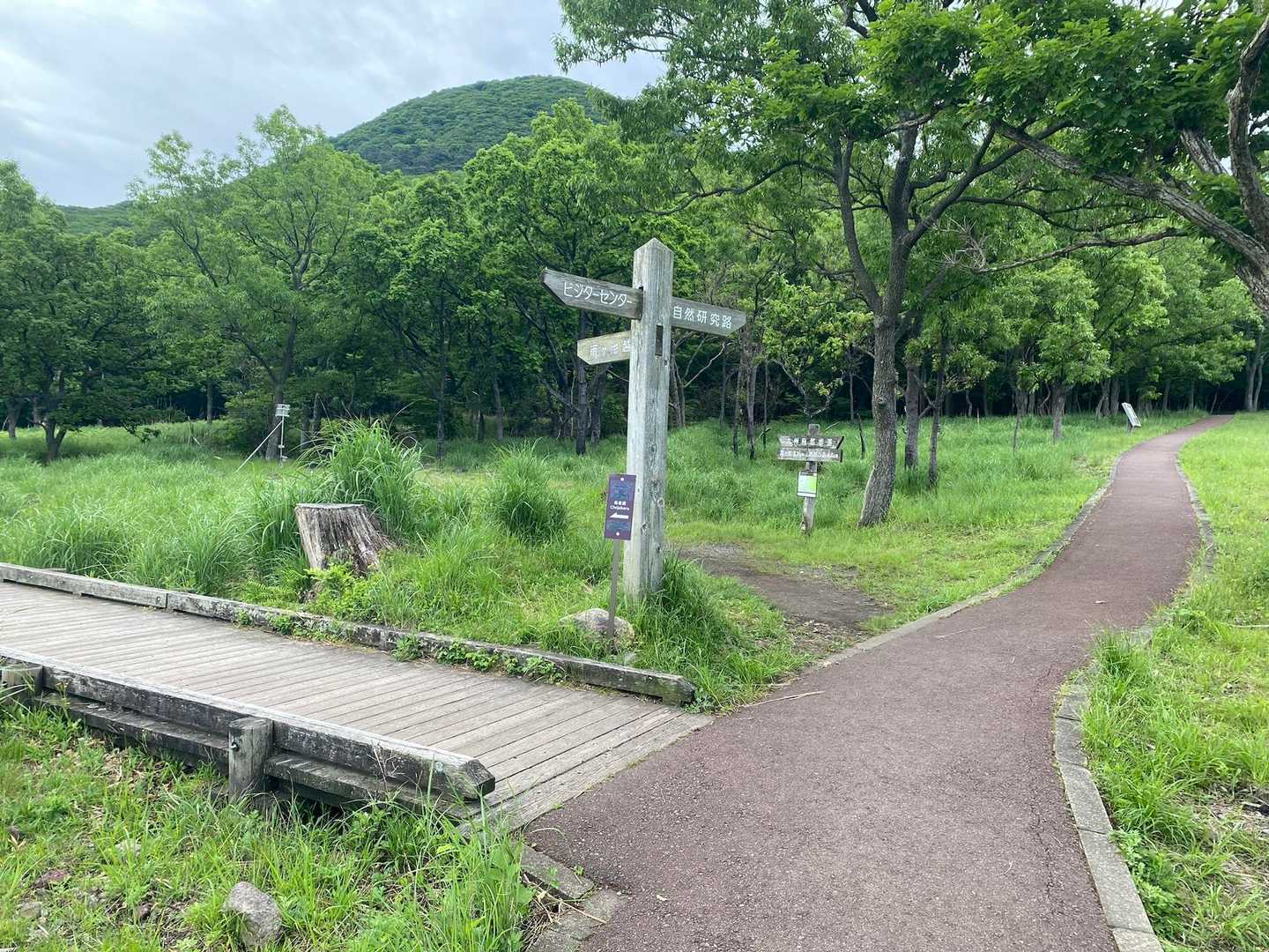 雨ヶ池ルートに向かいます。