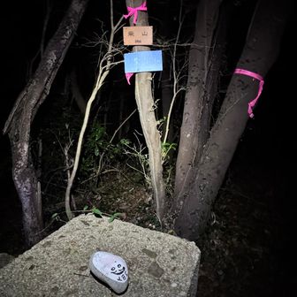 そしてこちらもちゃんとしたお山であった。
これから下山して、楞厳寺山登山口まで4kmくらいあるね。
自分で決めた事だが、遠いやんか🤣
もう帰っちゃうぞ☺️