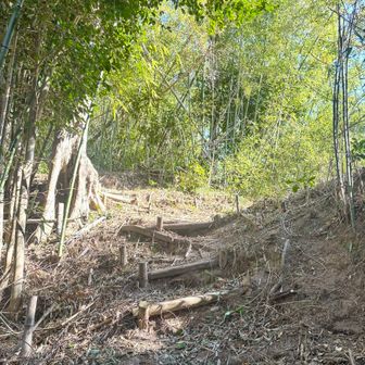 整備されています✌️