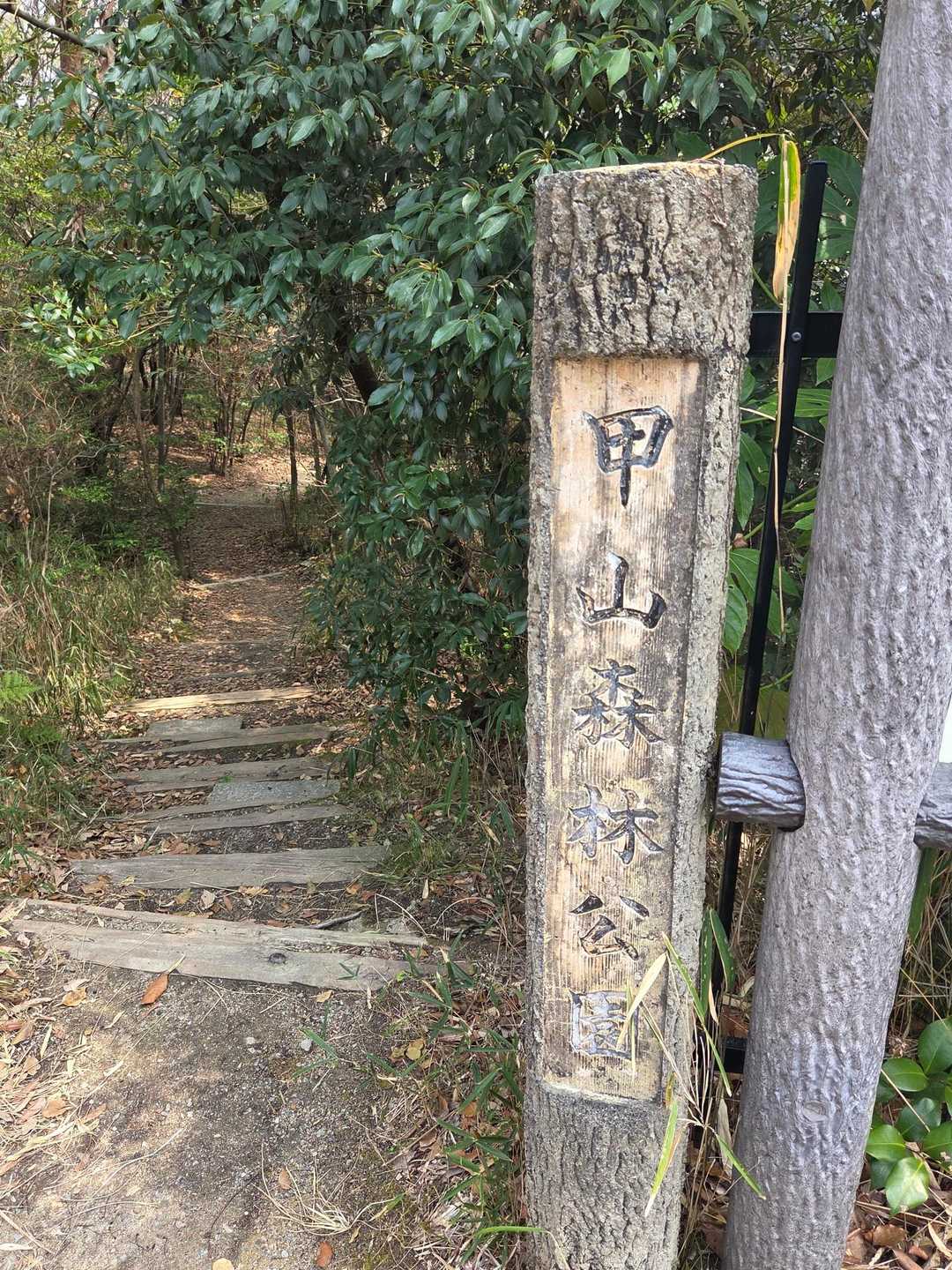森林公園には