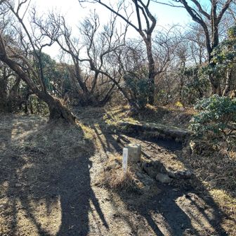 神山山頂はこんな感じで
これといった展望スポットはありません