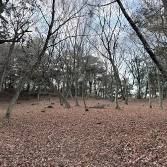 一夜城の逸話は知っていても場所までは知らなかった。