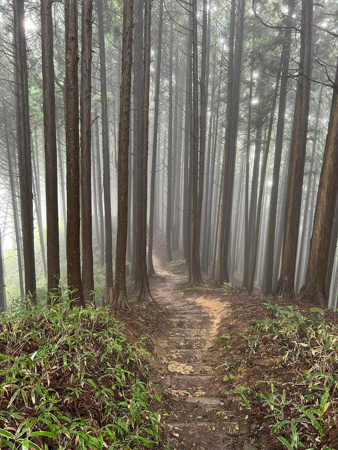 ダイトレ縦走の皆さん😊
雨降ってるのは私のせいではありませんよー😭
