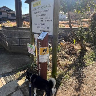 熊出没注意の、張り紙