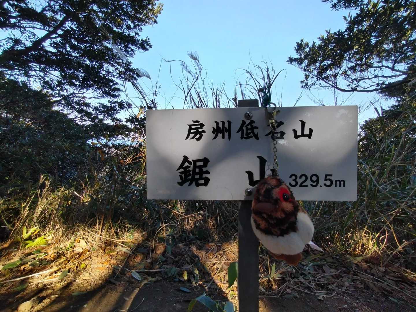 とーちゃく
見晴らしいまいち