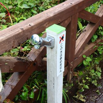 トイレに手洗い水道があったのですが、今まで気づきませんでした。