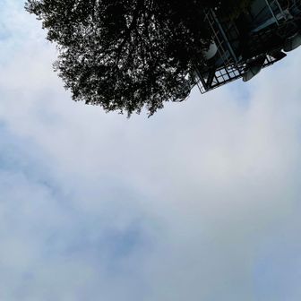 手頃に雲多く山頂は意外にも涼しい😌
周りは昼寝中😴なので自分も気持ちよく昼寝😪