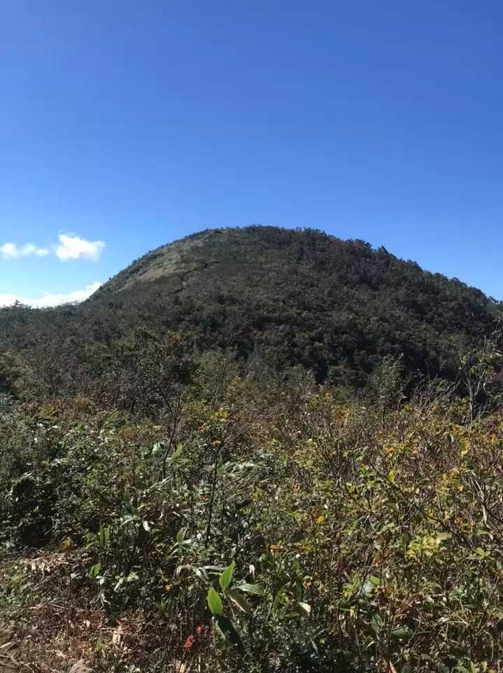 取立山の写真