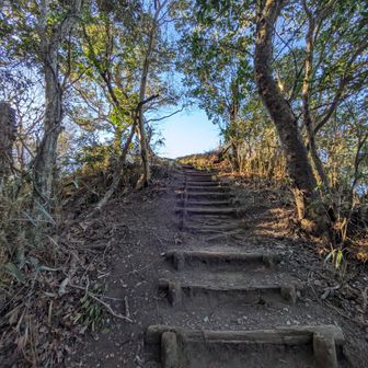 綺麗な景色が見られそう