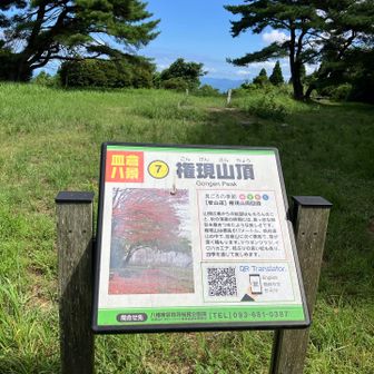 権現山山頂