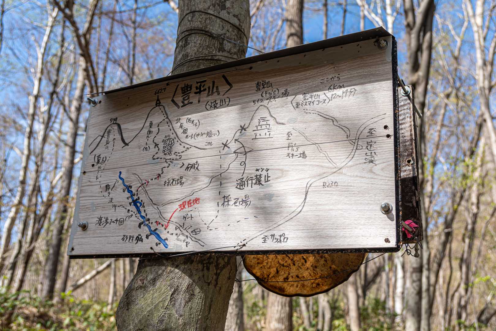 今日はどのルートにしようかな〜？😆
体力や時間に合わせてルート選びが出来て楽しいのです♬