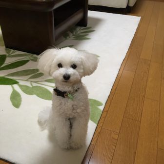 nao