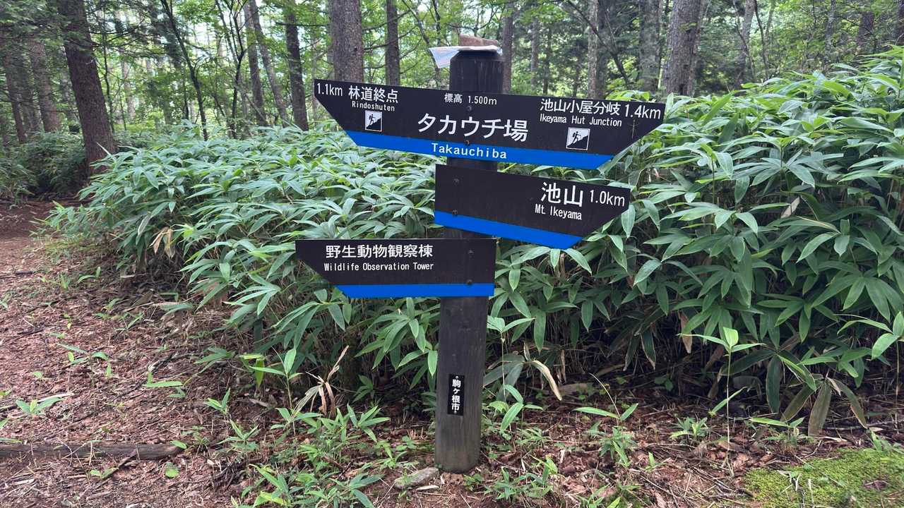 タカウチ場