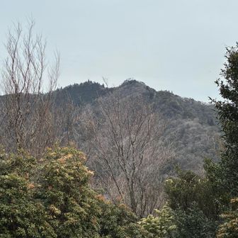 眺望、こんな感じ