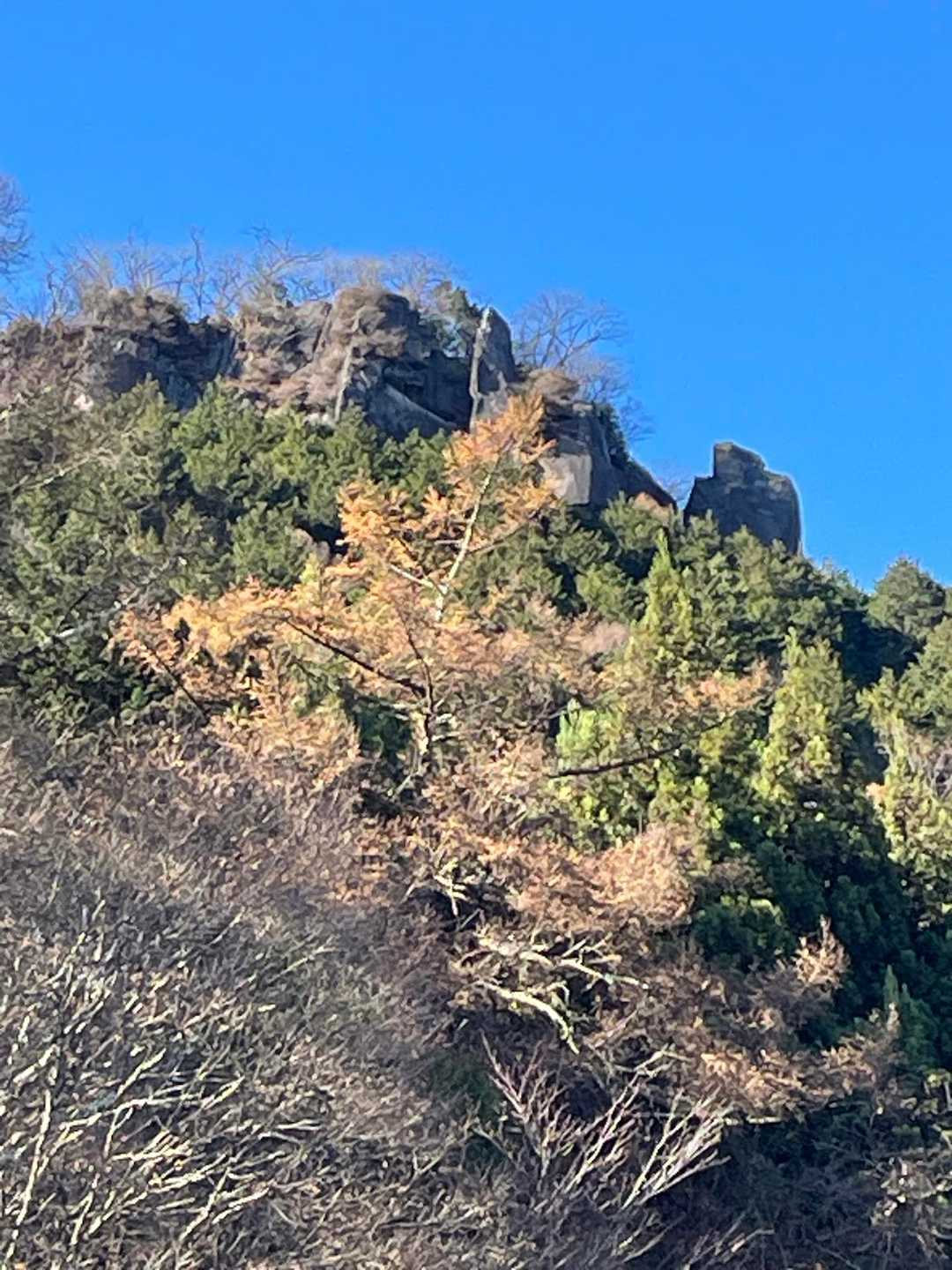 この岩の上に居たなんて😱