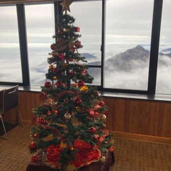 ツリー🎄と幻想的な鎌さま