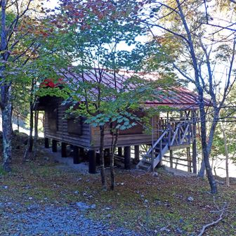 作業小屋まで降りてきました