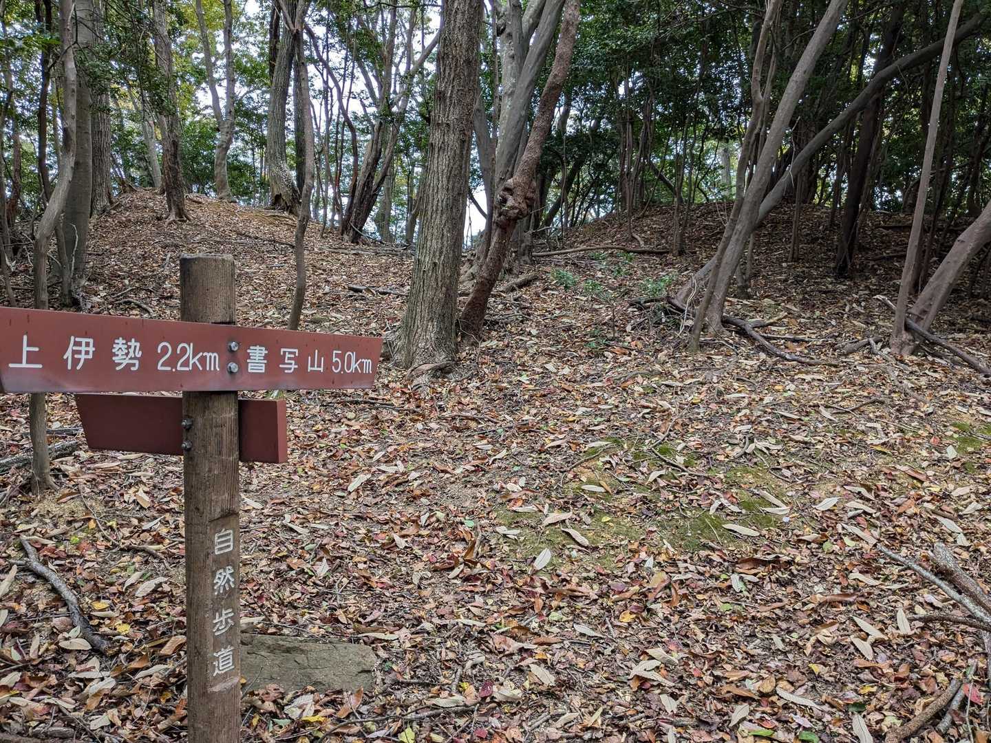赤線のある上伊勢への分岐に、書写山まで繋がっているみたい。