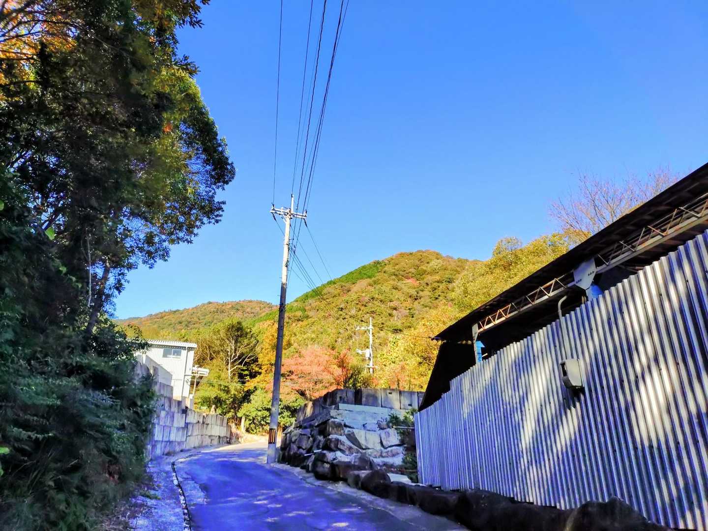 雄大だなぁ