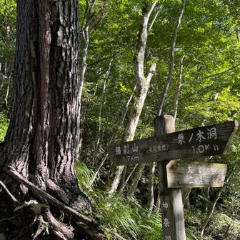 後沢乗越。
稜線伝いに山頂までジワジワ登ります💦