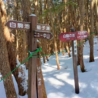 ニューの表記きたーーー