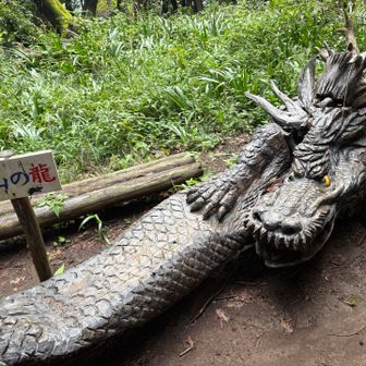 いつものドラゴン。