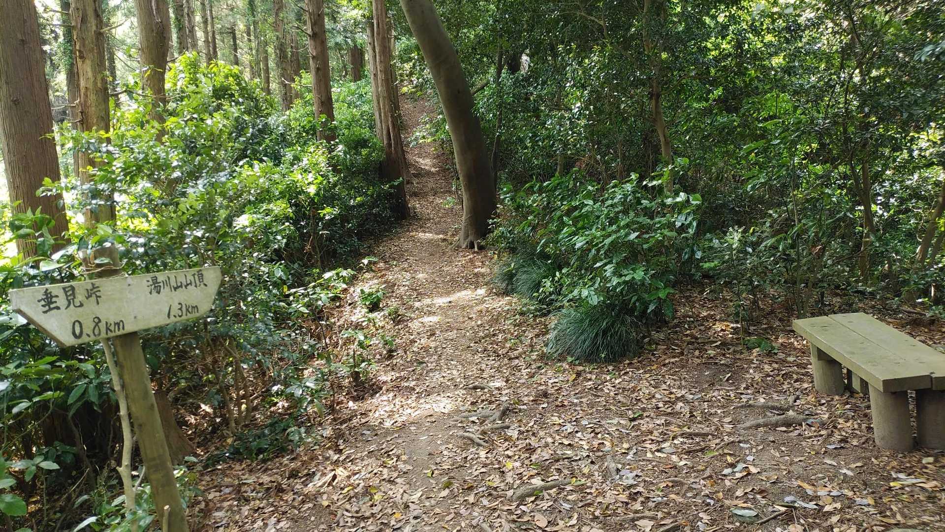 内浦登山口-湯川山 往復コースの写真