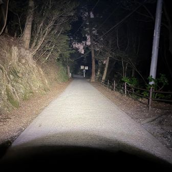 ケーブル乗り場から下の1号路は街灯がなく真っ暗なのでここからヘッデンをつけて降ります
3年前に購入した400ルーメン、電池でも充電しても使えるペツルで、3段階で明るさが選べます(誰もいなくて暗いし、👻にちょっかい出されない様に一番明るいモードにしました)
こちらのペツルは他に薄明るい常夜灯モード、遭難信号の赤いライトモードもあります