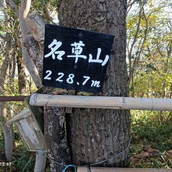 幸い、名草山までの道は、少し回り込んだルートながらややこしく無く無事に名草山の山頂に。
標高228.7m