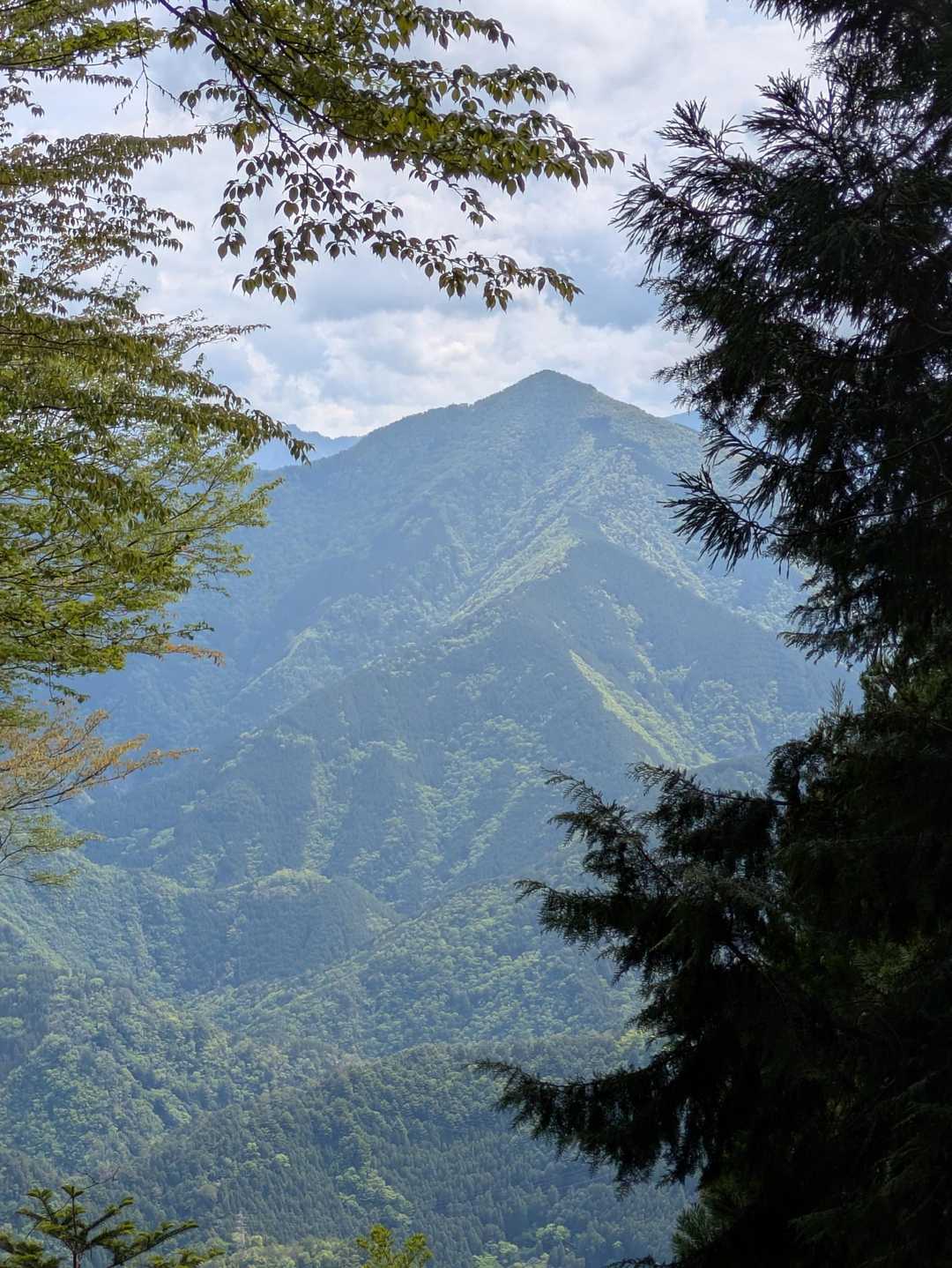 展望所から