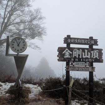 眺望は無し　
山頂は風があり寒い❄
