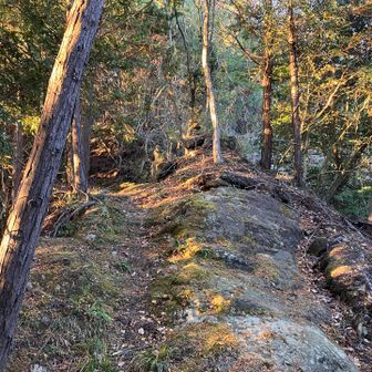 笠石方面はあちらですが行かず。ヤマップルートでは立ち入り禁止となっています