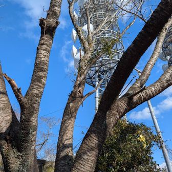 三ヶ根山最高地点