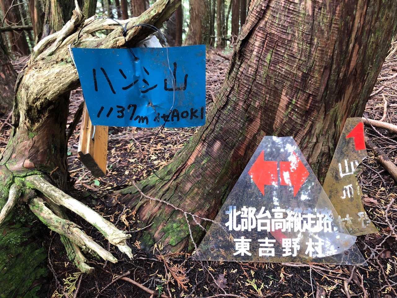 2つ目