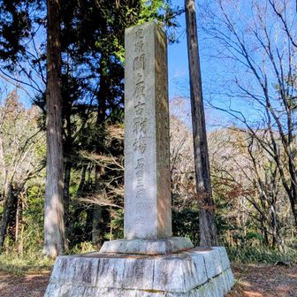 【西】石田三成　陣跡

関ケ原の地を一望でき北国街道も押さえられる笹尾山に布陣
麓に陣を置いた島左近らの隊が善戦
次第に押し込まれ小早川秀秋の東軍への寝返りを機に西軍は次々に敗走
三成も伊吹山方面へ逃れる
