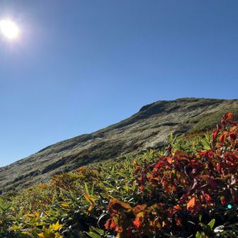 登山道からは
しばらく美味しい風景が続き何度も振り返りの山頂