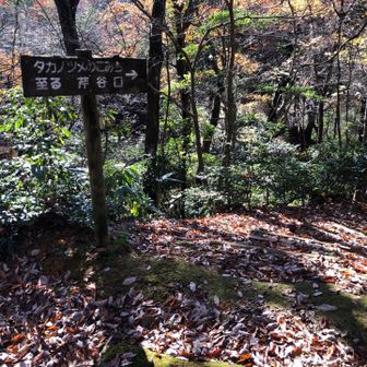 ここ見落として少し道上がってしまい引き返しました💦