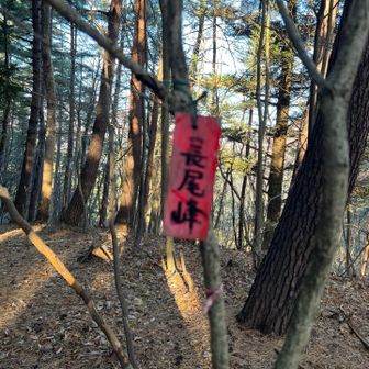 小さすぎてピントが合わなかった🤭