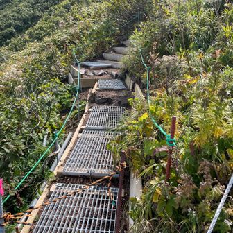 崩壊が進んで新しい登山道を作ってくれてます　来年あたりからつかえるのかな？