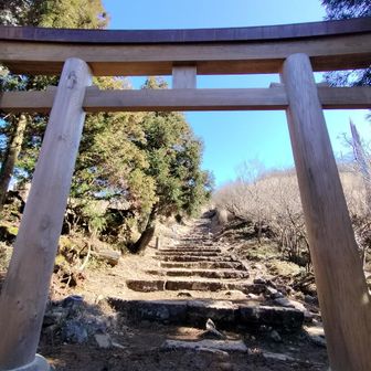 遠回りになるが別の周回ルートで下山する事に😐