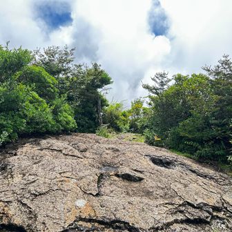 山頂付近