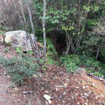 こんな所にも隠しルート✨️めっちゃ気になる💭👀✨