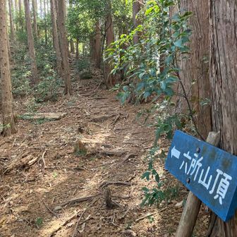 整備されたコースを登っていきます