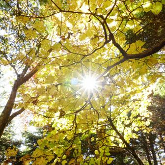 10月は良い天気が続きます♪