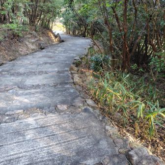 ヤハリ、カイダン